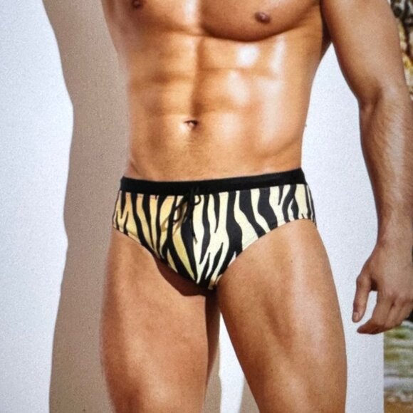 Brand New Men Random Zebra Striped Drawstring Waist Swim Brief L/40 - Picture 4 of 4